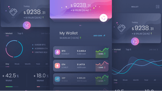 Sagemerit Insights trading analytics dashboard with performance insights